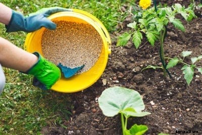 Fertilizing Veggies: Fertilizer Options For Your Vegetable Garden