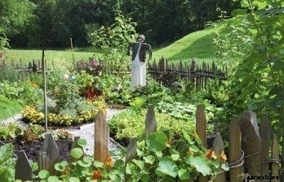 Vegetable Garden Design: How To Design Vegetable Gardens