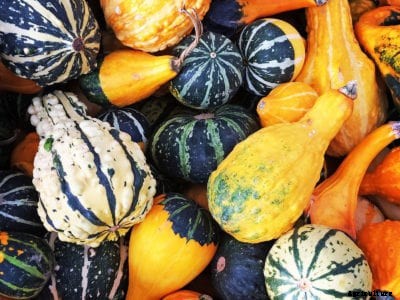 Using Decorative Gourds: Learn About Things To Do With Gourds