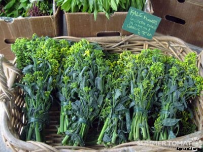 Kale Rabe Information: How To Grow Napini Kale In The Garden