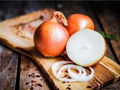 Onion Health Benefits – Growing Onions For Health