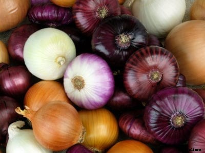 How To Grow Onions In Your Garden