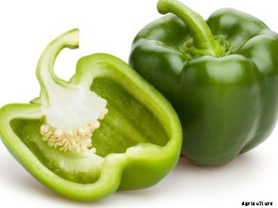 Can You Grow Store Bought Pepper Seeds: Tips For Planting Store Bought Peppers