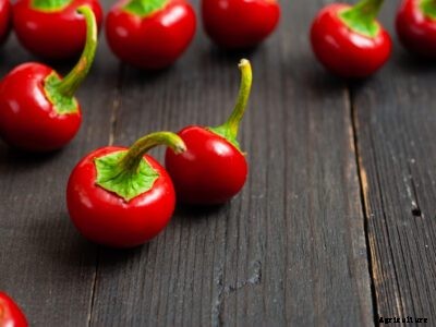Cherry Pepper Facts – Learn How To Grow Sweet Cherry Peppers