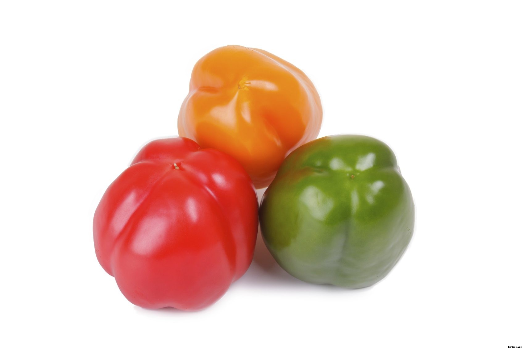 Are Bell Pepper Lobes An Indicator Of Pepper Plant Gender And Seed Production?