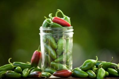 Jalapeno Peppers Too Mild: Reasons For No Heat In Jalapenos