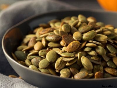 Pumpkin Seed Benefits – Interesting Pumpkin Seed Uses