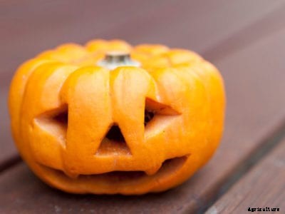 Creating Jack O’ Lanterns – How To Make Mini Pumpkin Lanterns