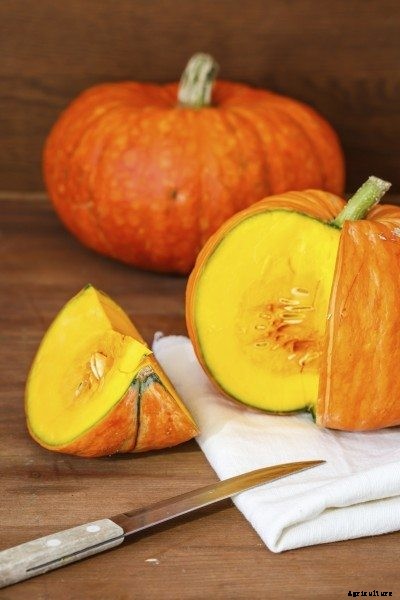 Pumpkin Varieties For Eating: Best Types Of Pumpkins For Cooking