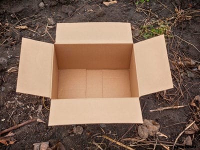 Cardboard Potato Planter – Planting Potatoes In A Cardboard Box