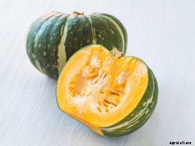 Kabocha Squash Growing Tips – Learn About Kabocha Squash Pumpkins