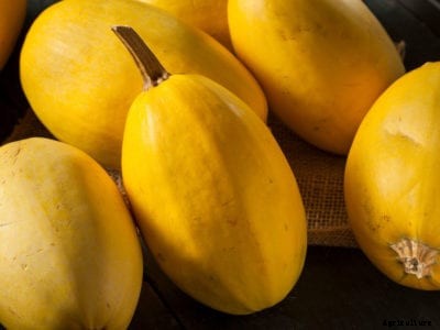 Determining Spaghetti Squash Ripeness: Will Spaghetti Squash Ripen Off The Vine