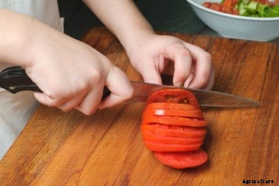 Sandwich Tomato Varieties: Good Slicing Tomatoes To Grow In The Garden