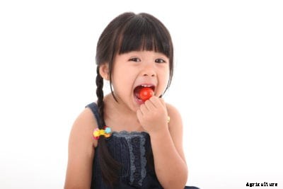 Tomato Sweetening Tips: What’s The Secret To Sweet Tomatoes