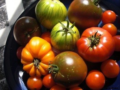 Heirloom Tomato Plants: What Is An Heirloom Tomato