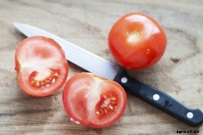Thick Tomato Skins: What Causes Tough Tomato Skin