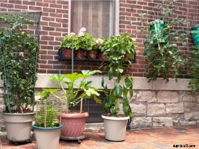 Making Tomato Cages – How To Build A Tomato Cage