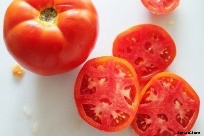 Do Tomatoes Ripen From The Inside Out?