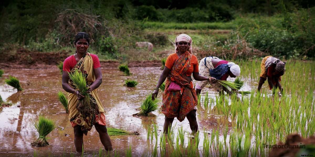 Modern Farm Equipment in Agriculture