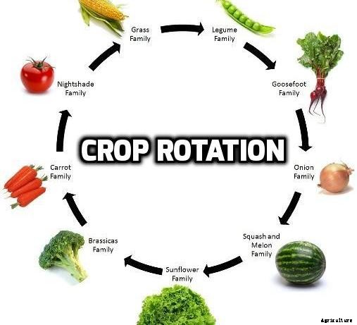 Types Of Farming and Agriculture Information