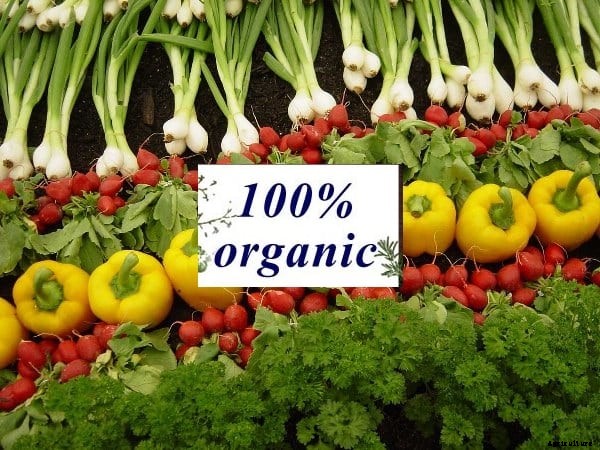 Organic Agriculture and Its Importance