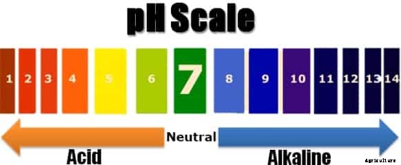 Soil pH Importance in Agriculture