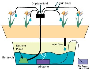 Drip Irrigation Information Guide