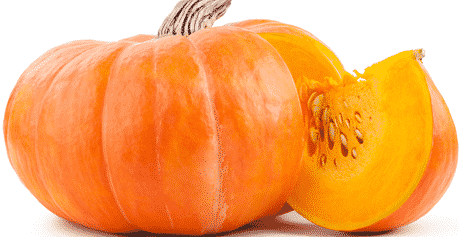 Pumpkin Cultivation Information Guide
