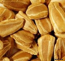 Bottle Gourd Cultivation Information Guide