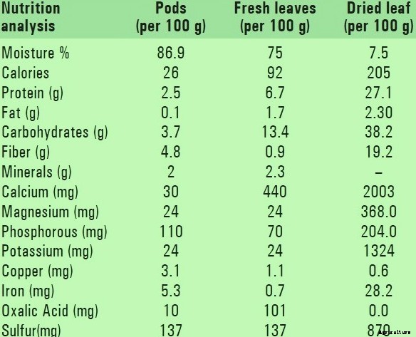 Drumstick Cultivation Info Guide