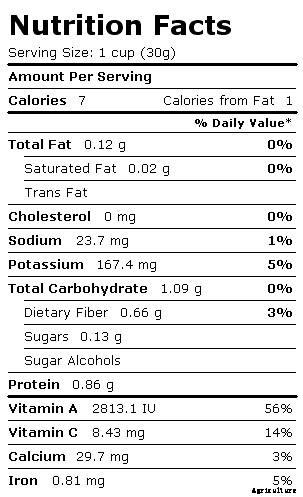 Spinach Farming Information Guide