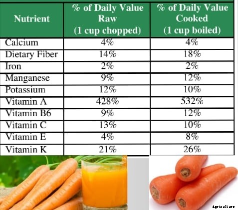 Carrot Farming Information Guide