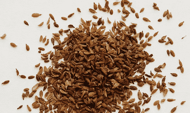 Carrot Farming Information Guide