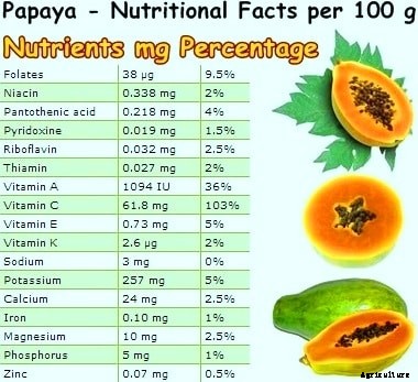 Papaya Farming Information Guide