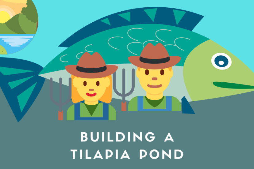 Building A Tilapia Pond (Easy How-To Guide)