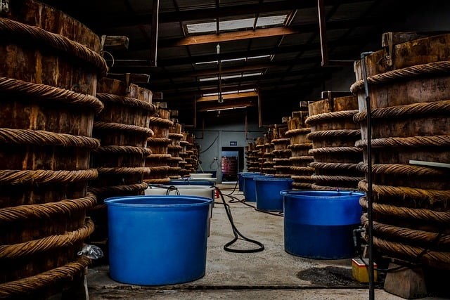 Starting a Tilapia Hatchery (What You Should Know)