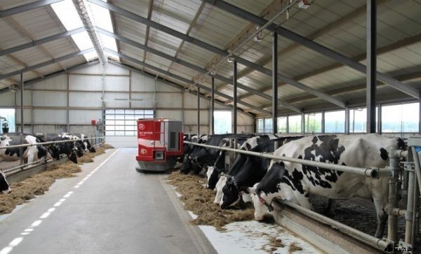 Small Scale Dairy Farming Information