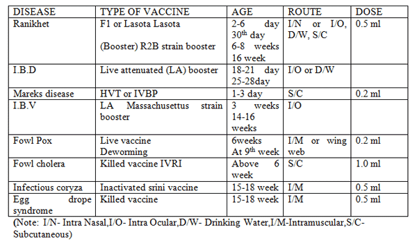 Poultry Farming Information Guide