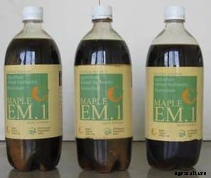 Poultry Farming Information Guide