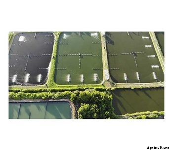 S2N - Smart Water Monitoring for aquacultures