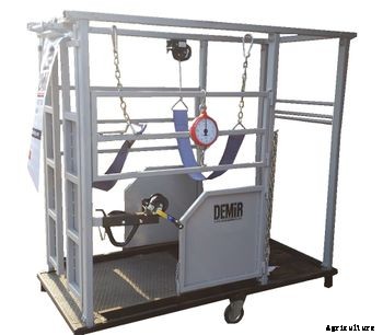 DEMIR - Cattle Crush Care Units