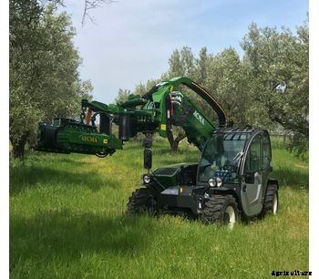 Sicma - Model Mini Agri Dieci 26.6 - Harvester for olives, nuts, cherries, plums with trunk shaker (equipped with or without umbrella)