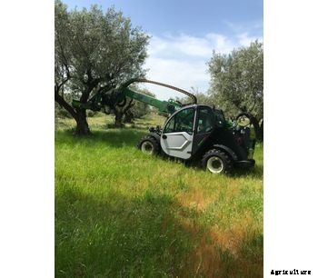 Sicma - Model Mini Agri Dieci 26.6 - Harvester for olives, nuts, cherries, plums with trunk shaker (equipped with or without umbrella)