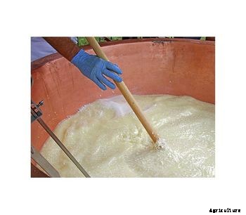 CentraSep - Milk and Cream Separation System