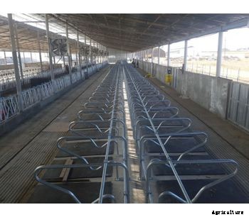DEMIR - Livestock Feeding Stall