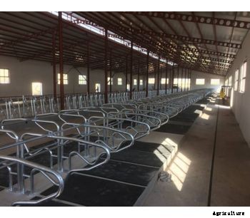 DEMIR - Livestock Feeding Stall