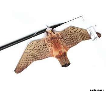 Eolo Hawk - Agriculture Scarecrow