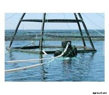 Steinsvik - Aquaculture Subfeeder