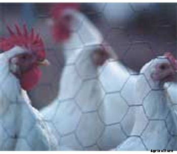 Yeasture - Animal Feed Additive