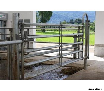 Mid Valley - Custom Dairy Crowd Gates